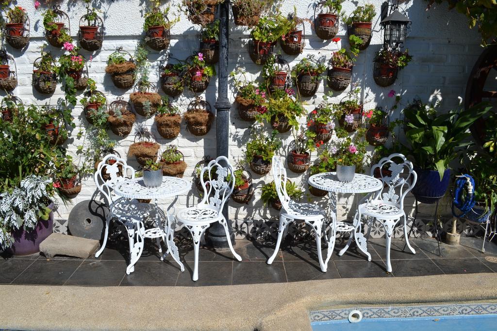 Hotel Vendimia Boutique Santa Cruz Ngoại thất bức ảnh